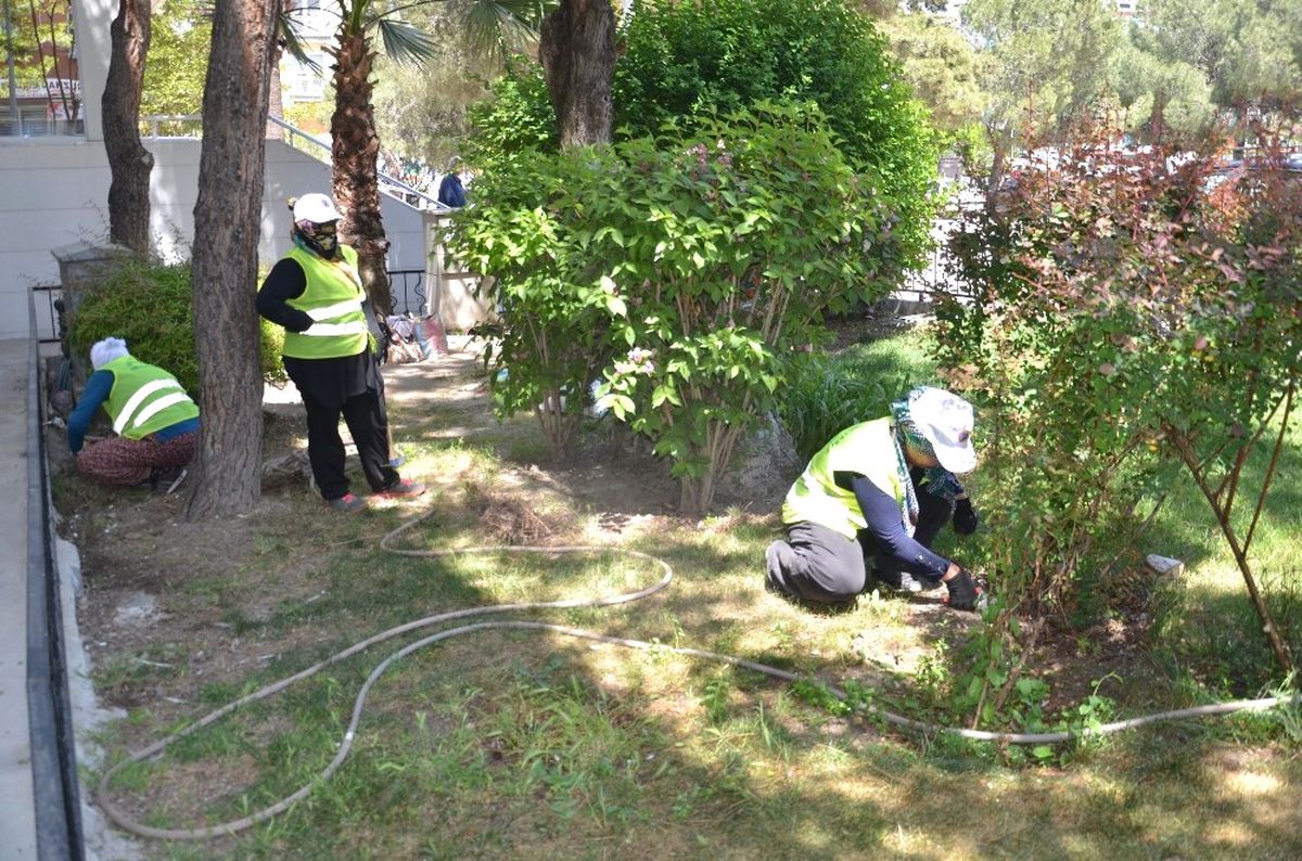 Soma\'da Park ve Bahçelere Kadın Eli Değdi