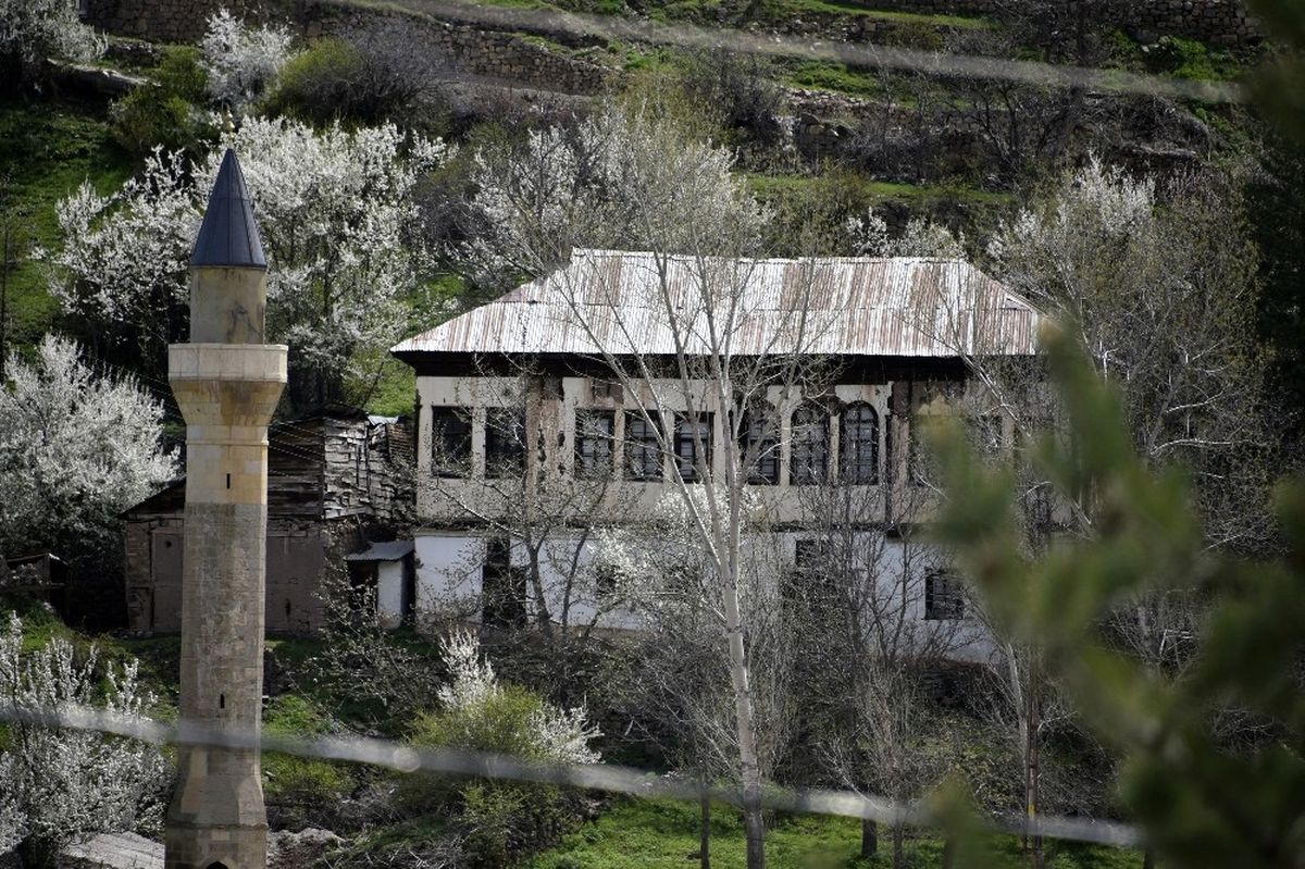 Süleymaniye\'de Eşsiz Bahar Güzelliği