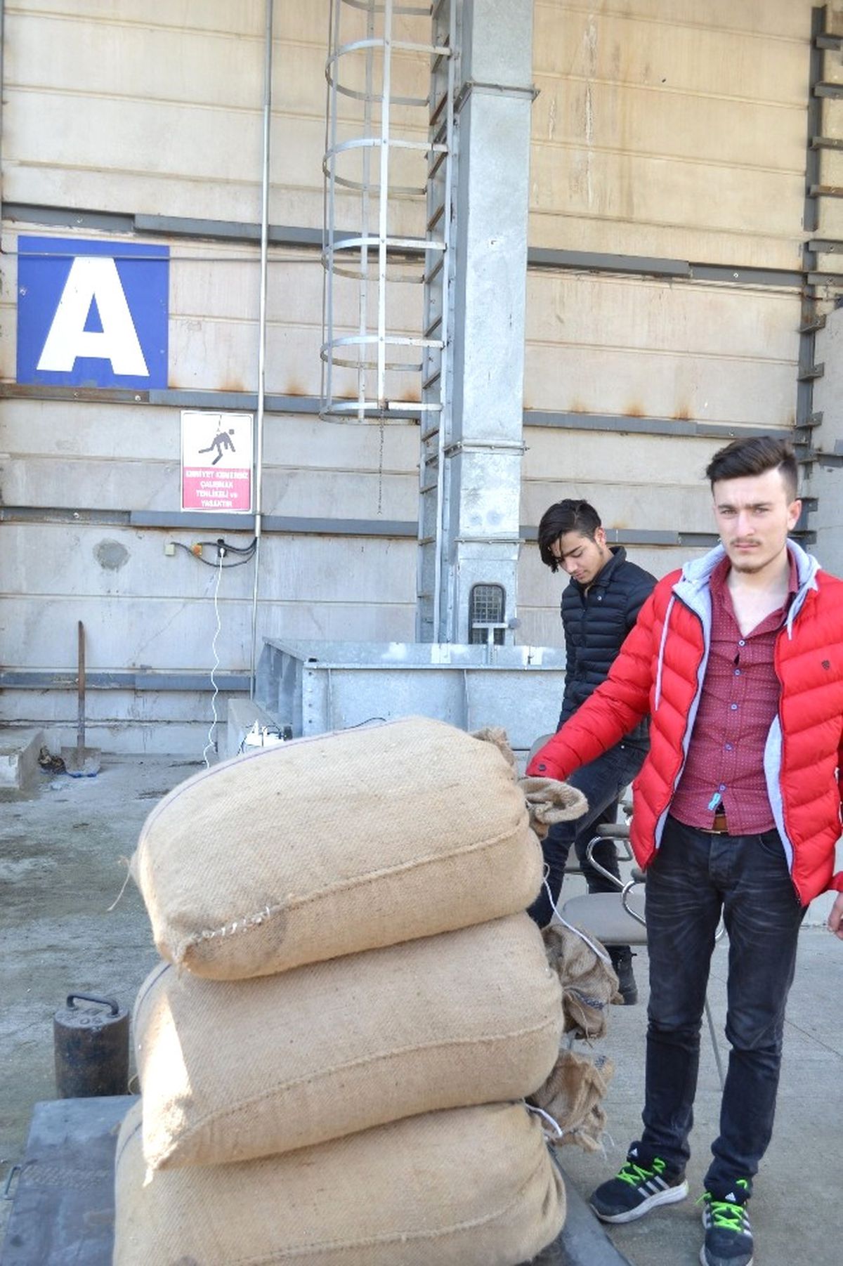 TMO\'nun Fındık Alımına İlgi