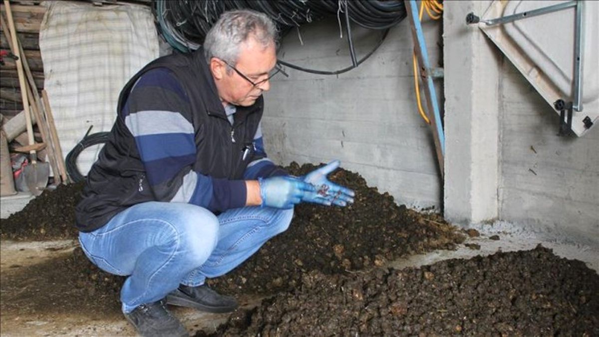 60 Bin Solucanla Organik Gübre Üretiyor