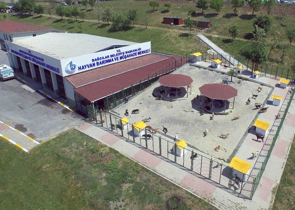 Bağcılar\'da Sokak Hayvanları İçin 5 Yıldızlı Hizmet Veriliyor