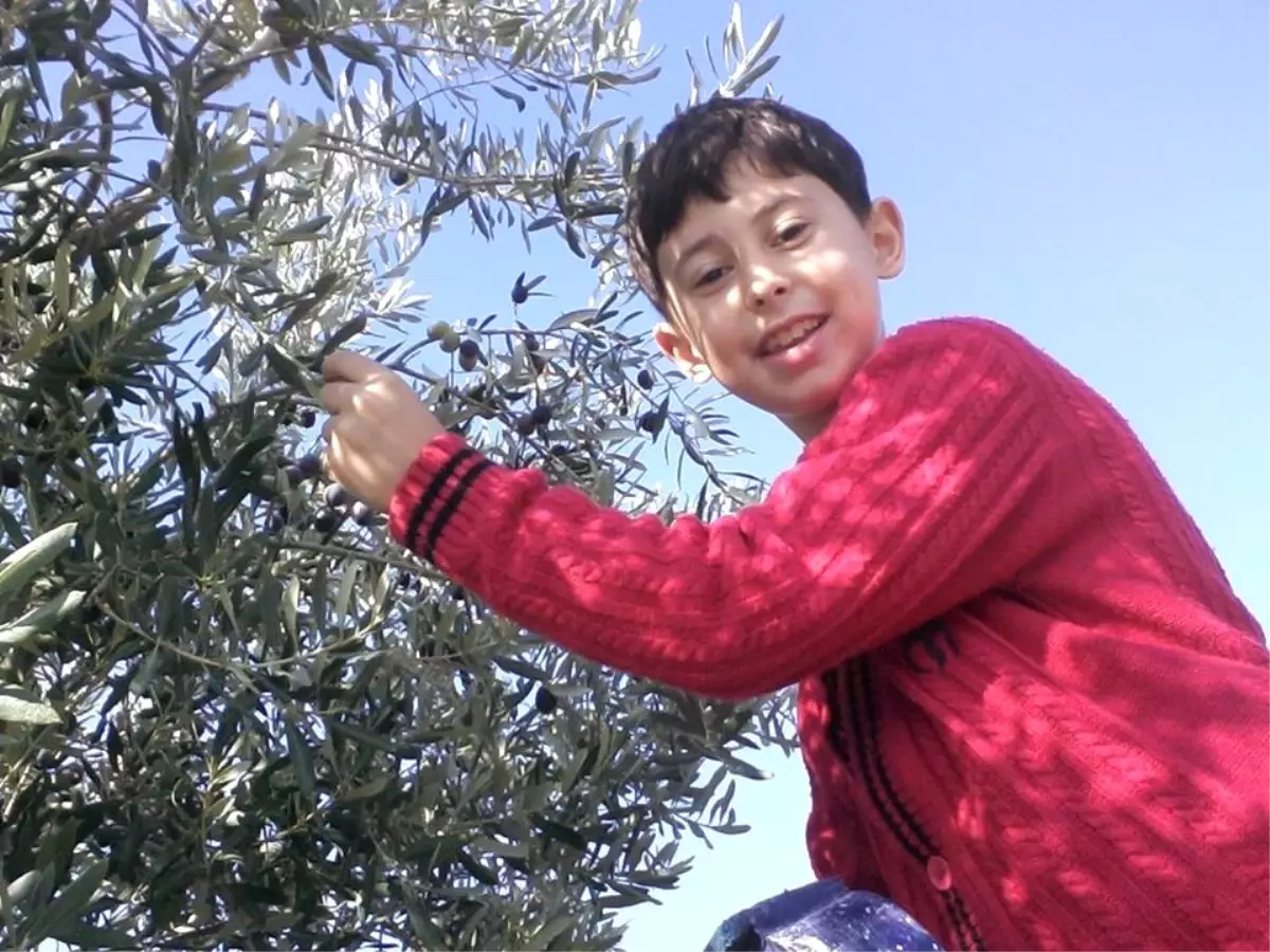 İzmir\'de Minibüs ile Hafif Ticari Araç Çarpıştı: 2 Ölü, 2\'si Ağır 9 Yaralı