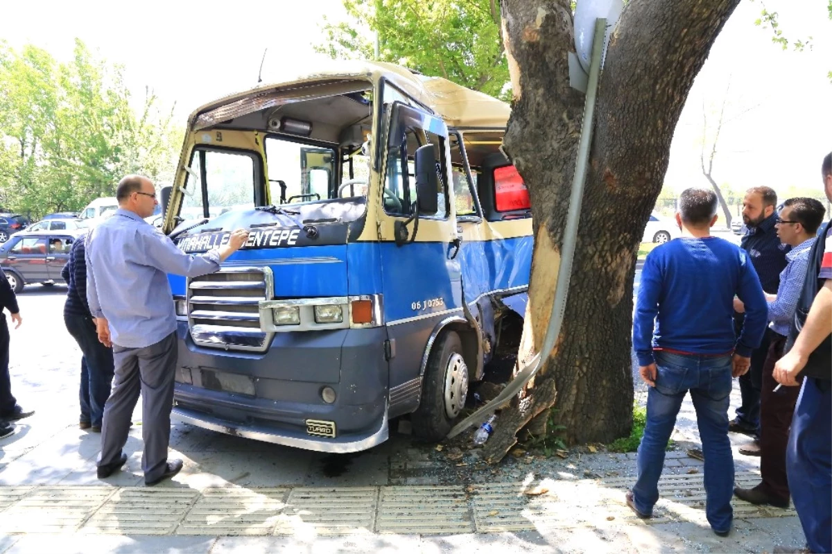 Kontrolden Çıkan Dolmuş Ağaca Çarptı: 6 Yaralı