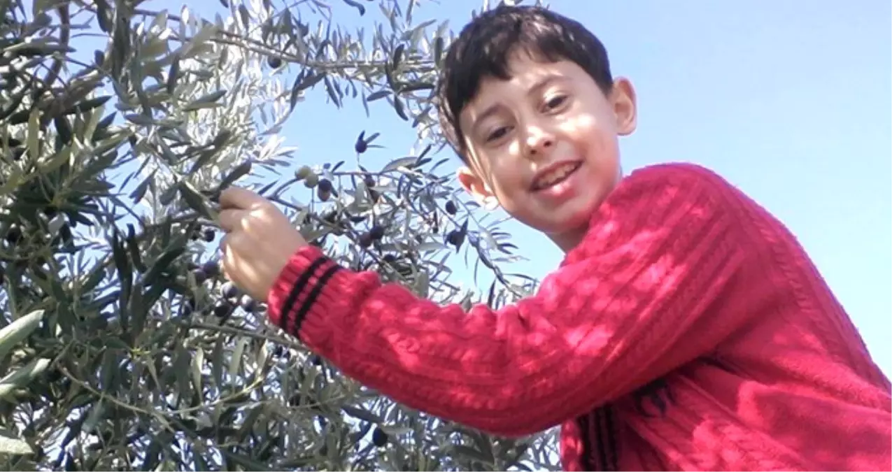 İzmir\'de Nişana Giden Aile Kaza Yaptı: 2 Ölü, 9 Yaralı