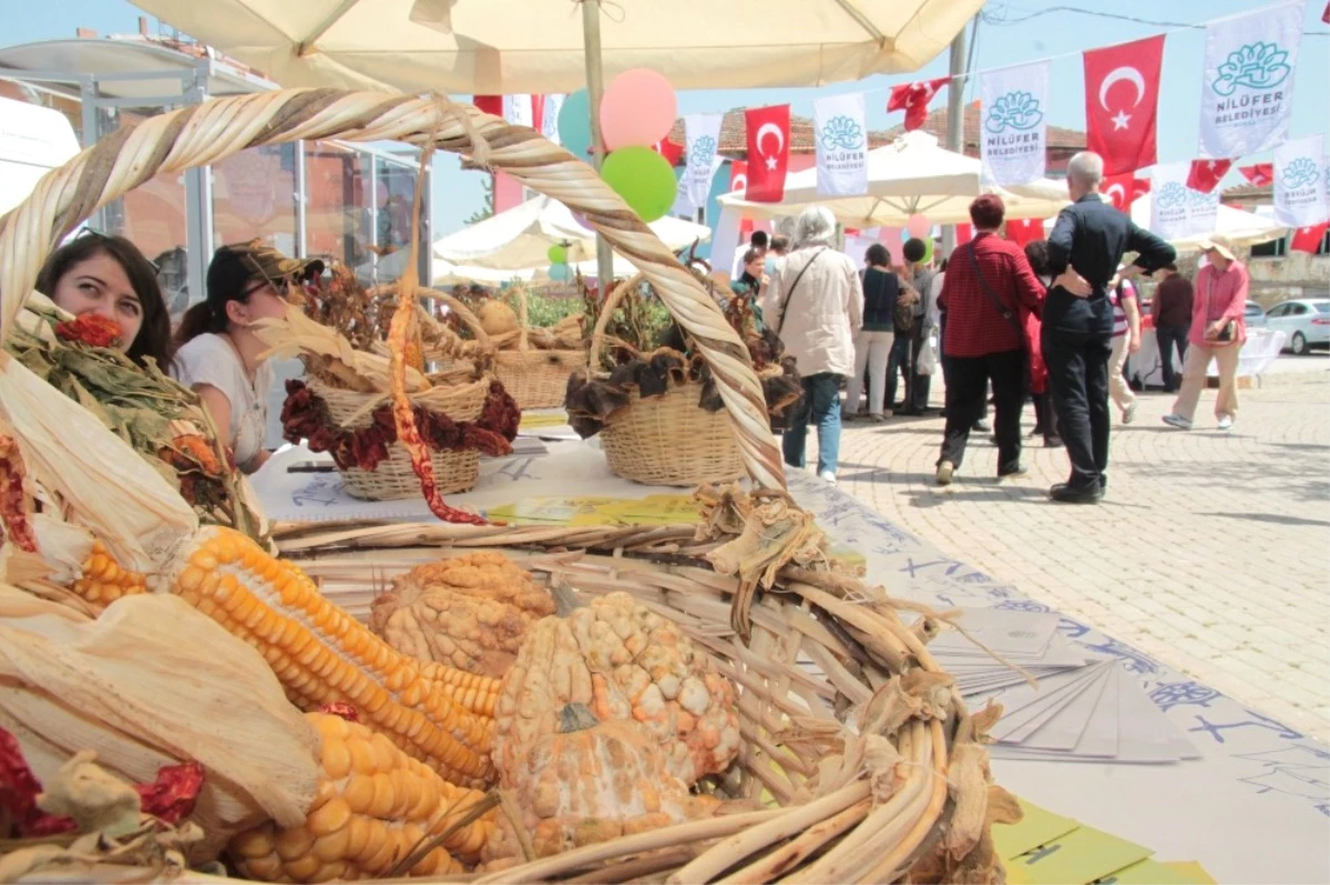 Sağlıklı Gelecek İçin Tohumlar Nilüfer\'de El Değiştirdi