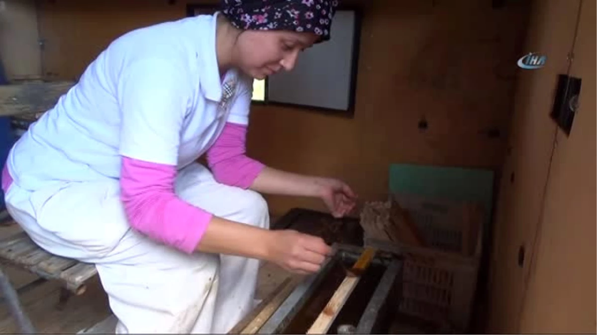 Aydın\'da Lise Mezunu İki Kadın Ekmeğini Arıcılıktan Çıkarıyor