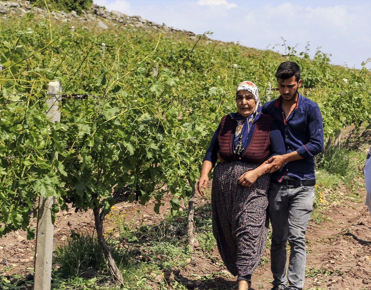 Güncelleme - Adana\'da Silahlı Kavga: 4 Ölü, 1 Yaralı