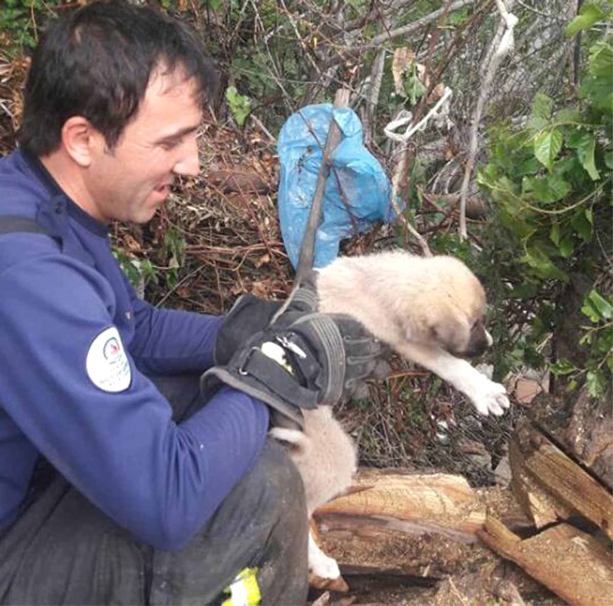 Kovuğa Sıkışan Yavru Köpeği İtfaiye Kurtardı