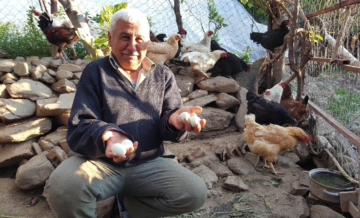 Bahar Geldi, Yumurtanın Rengi Değişti