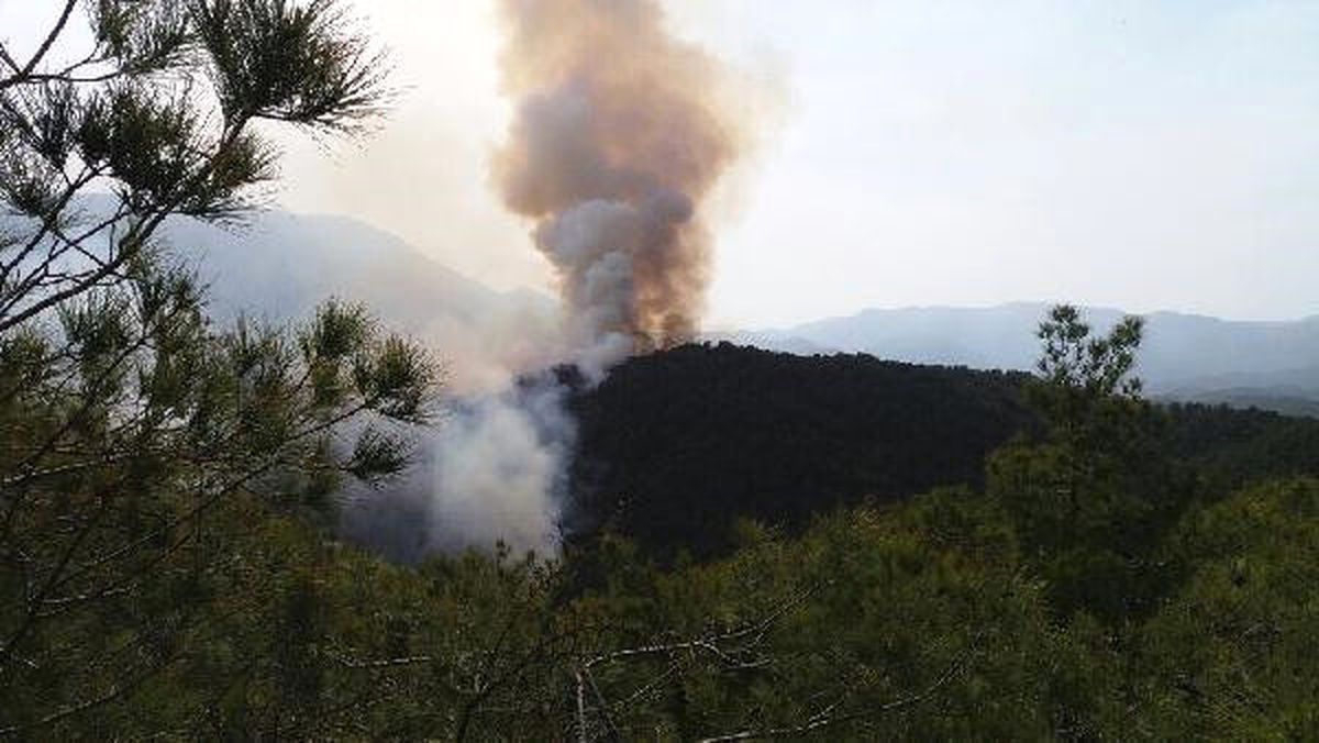 Hatay\'da 5 Hektar Orman Kül Oldu