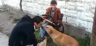 Köpeğine Mama Verilen Engelli Çocuğun İzlenmeye Değer Mutluluğu