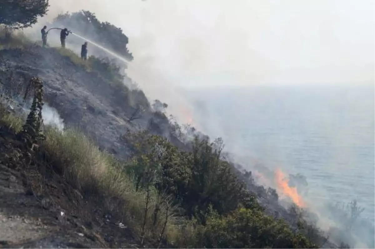 Menderes\'te Makilik Bölgede Yangın