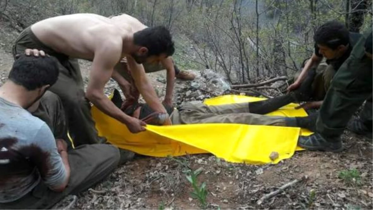 Öldürülen Teröristlerin Cesetleri Yakalanan PKK\'lılara Toplatıldı