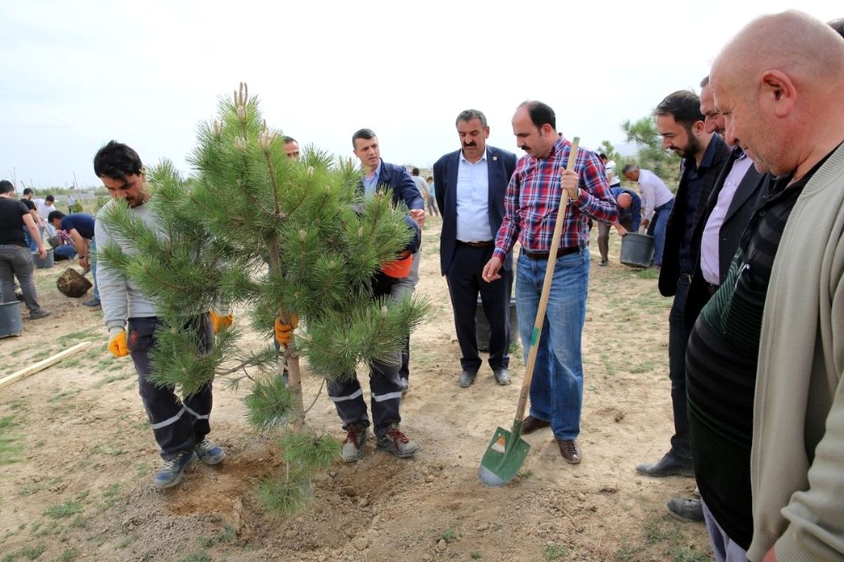 Selçuklu\'da Sanayi Çalışanı Gençler Bin 71 Fidanı Toprakla Buluşturdu