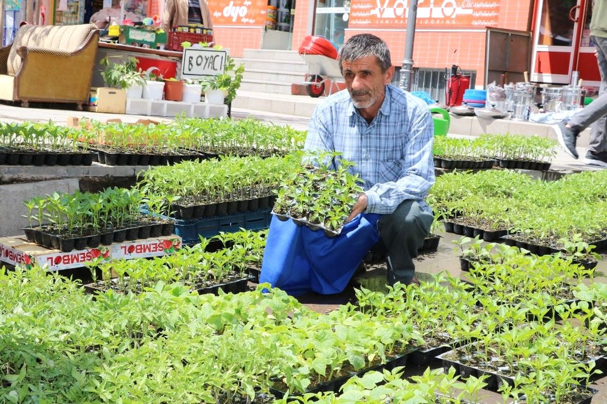 Yozgat\'ta Fide Satışları Başladı