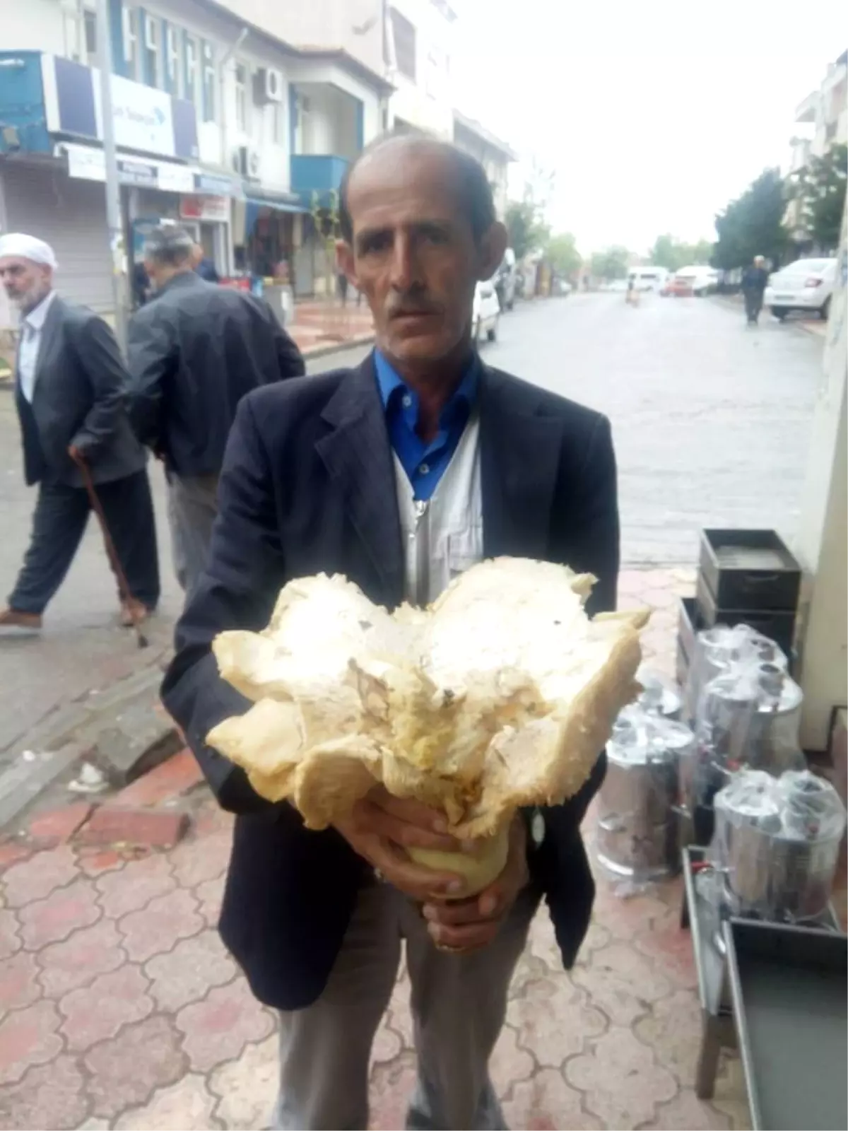 5 Kilogramlık Mantar Şaşırttı