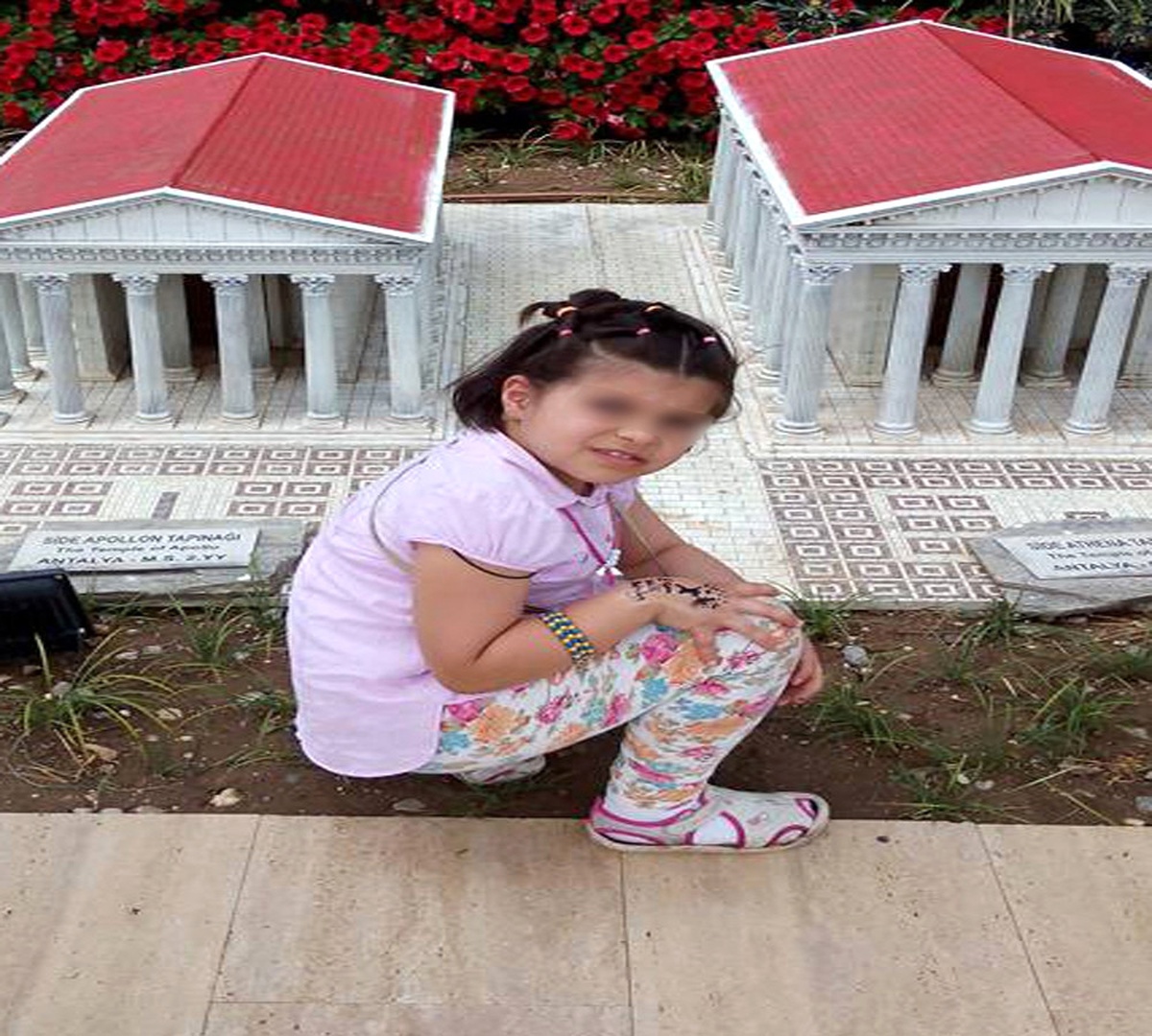 Ağaçtan Meyve Almaya Çalışırken Ayağına Demir Saplandı