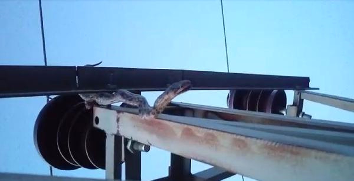 Akıma Kapılan Yılan 12 Köyü 15 Saat Elektirksiz Bıraktı