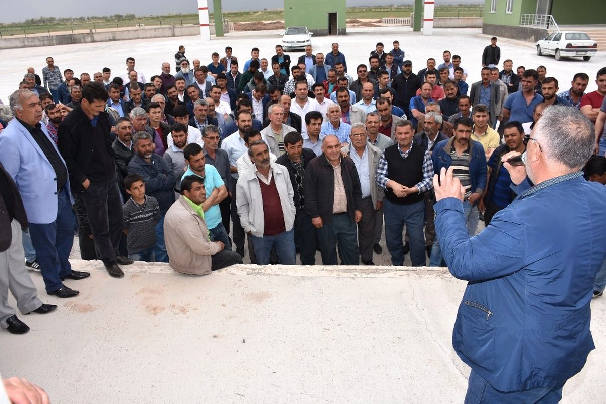 Aksaray\'da Canlı Hayvan Pazarında Kotra Dağıtımı