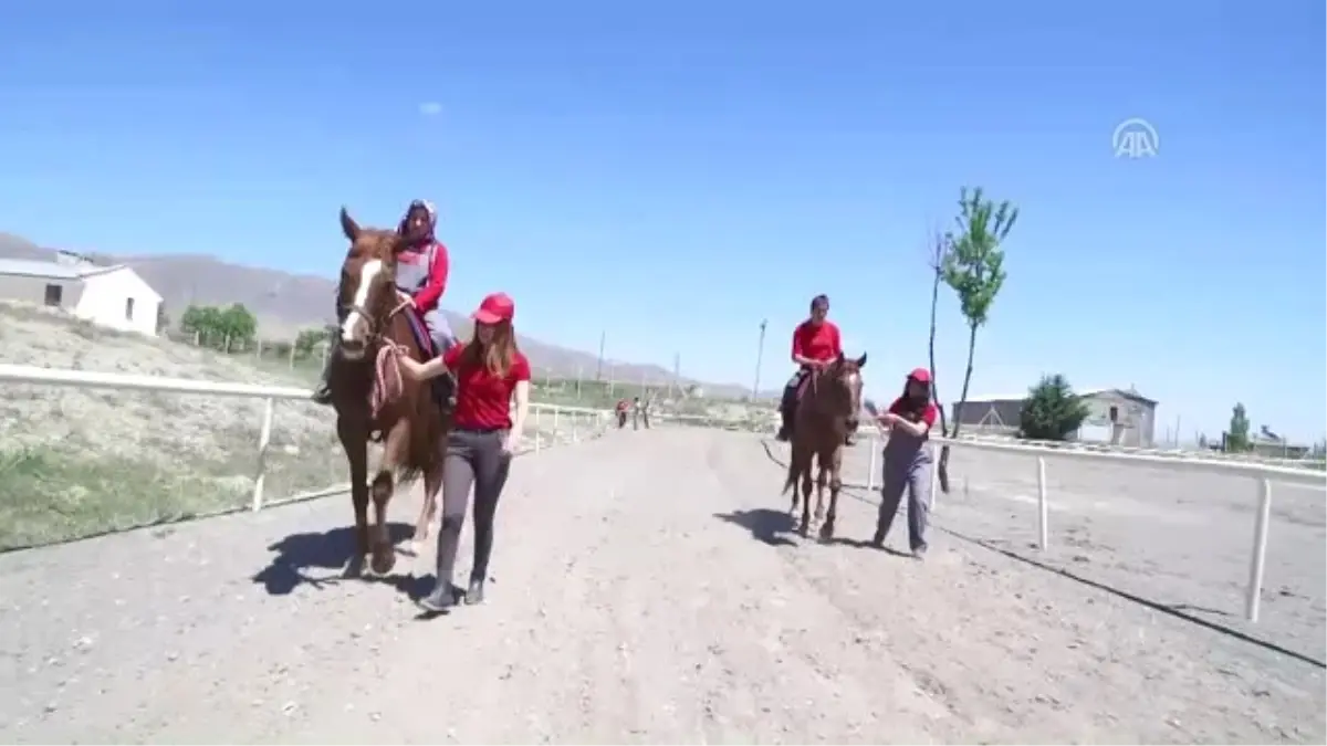 Atlar "Ojeli" Seyislere Emanet (2) - Elazığ