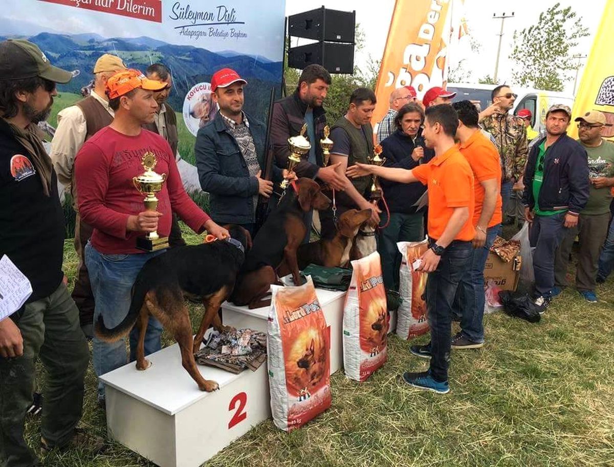 Bilecikli Avcı \'9. Fermalı Av Köpekleri Mera Yarışması\'nda Birinci Oldu