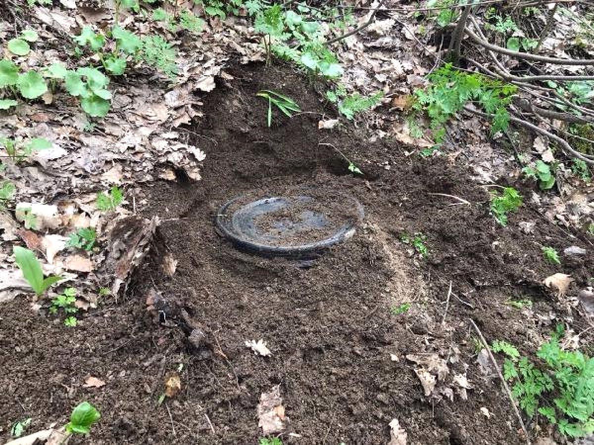 Bitlis\'te Toprağa Gömülü 38 El Bombası Bulundu