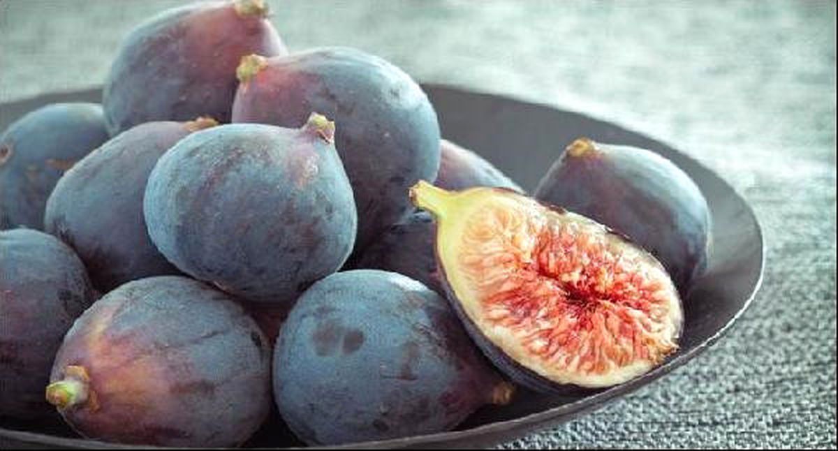 Fao/ebrd Desteğiyle Siyah İncire Coğrafi İşaret (Ci) Geliyor