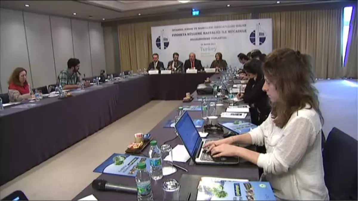 "Fındıkçının Korkulu Rüyası Külleme Nedeniyle Kayıp 300 Milyon Dolar"