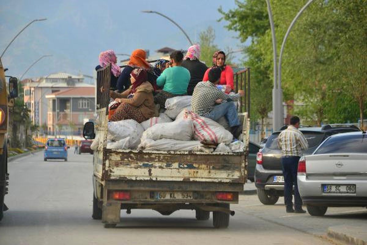 Kamyonet Kasasında Tehlikeli Yolculuk