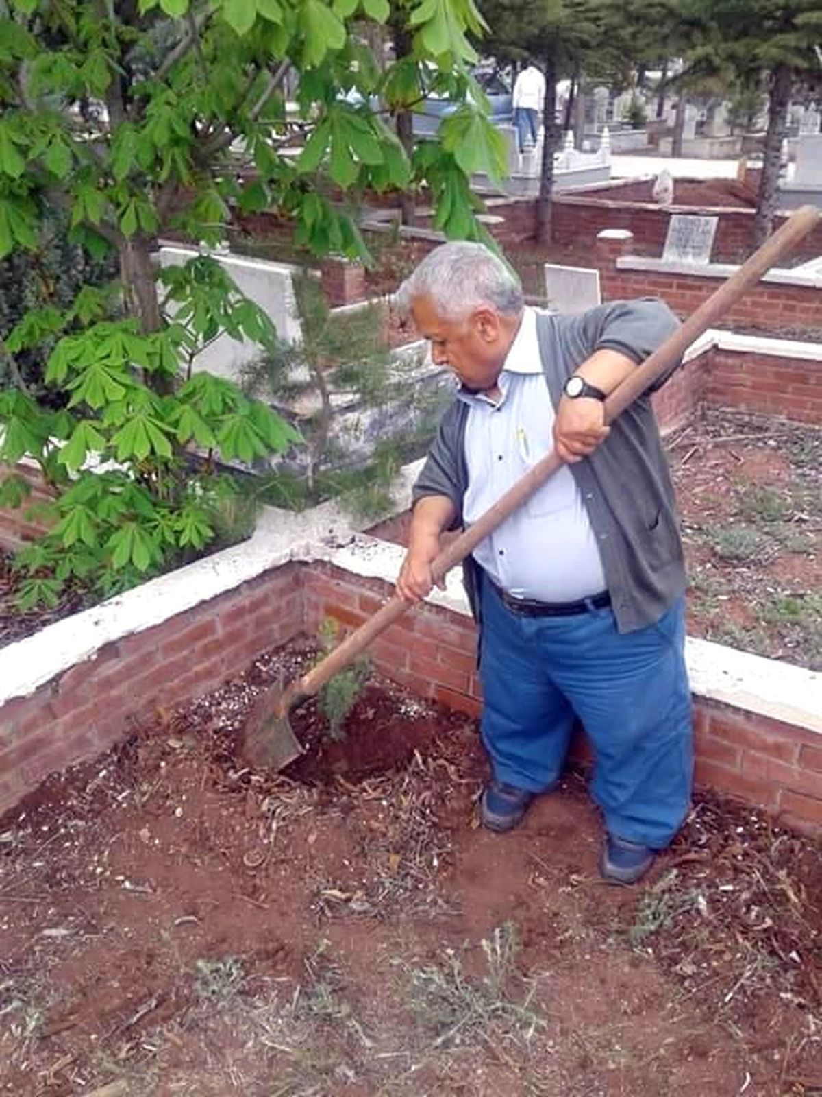 Kendi Mezarına Çam Dikti