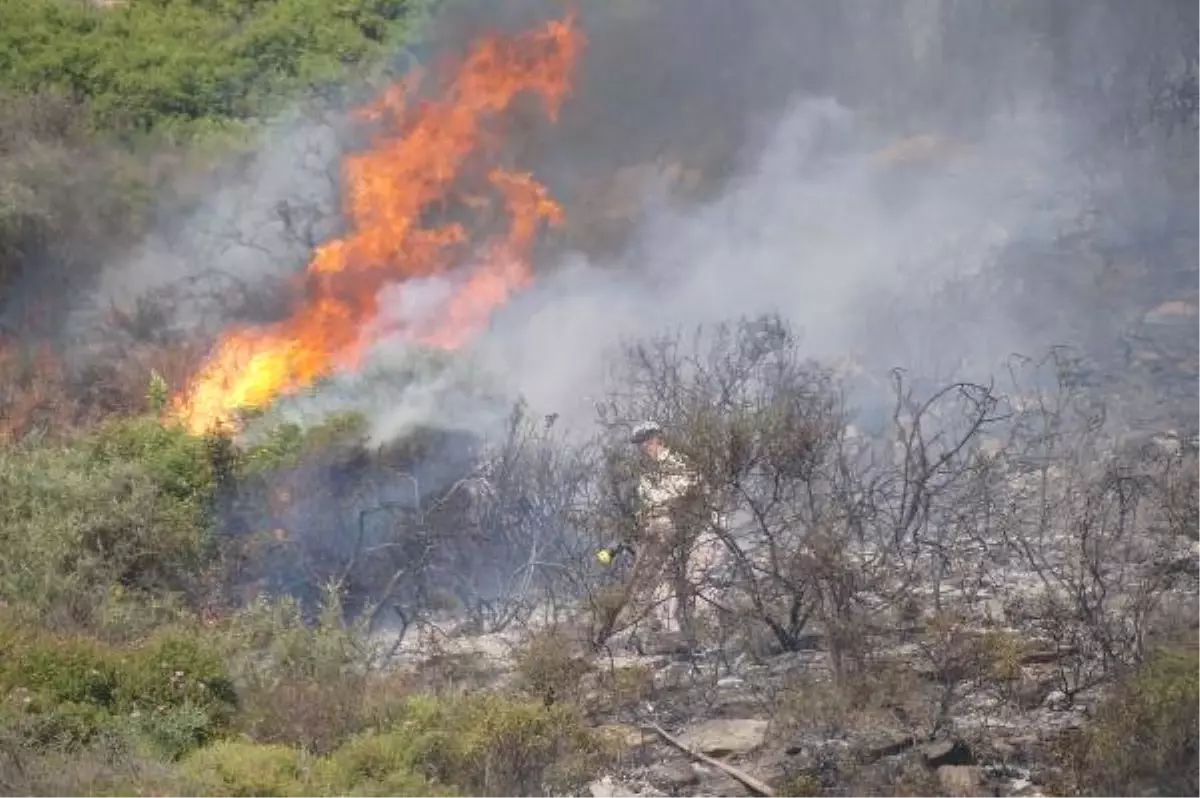 Menderes\'te Makilik Bölgede Yangın