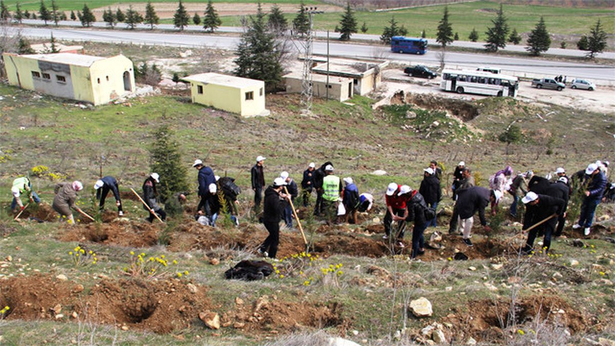 Seydişehir\'e "Şehitler Ormanı" Kuruldu