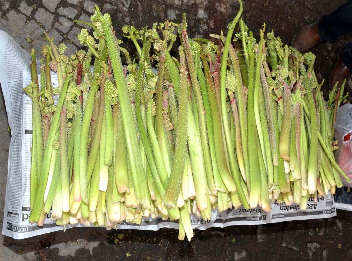Tatvan\'da Yayla Muzu Satışları Başladı
