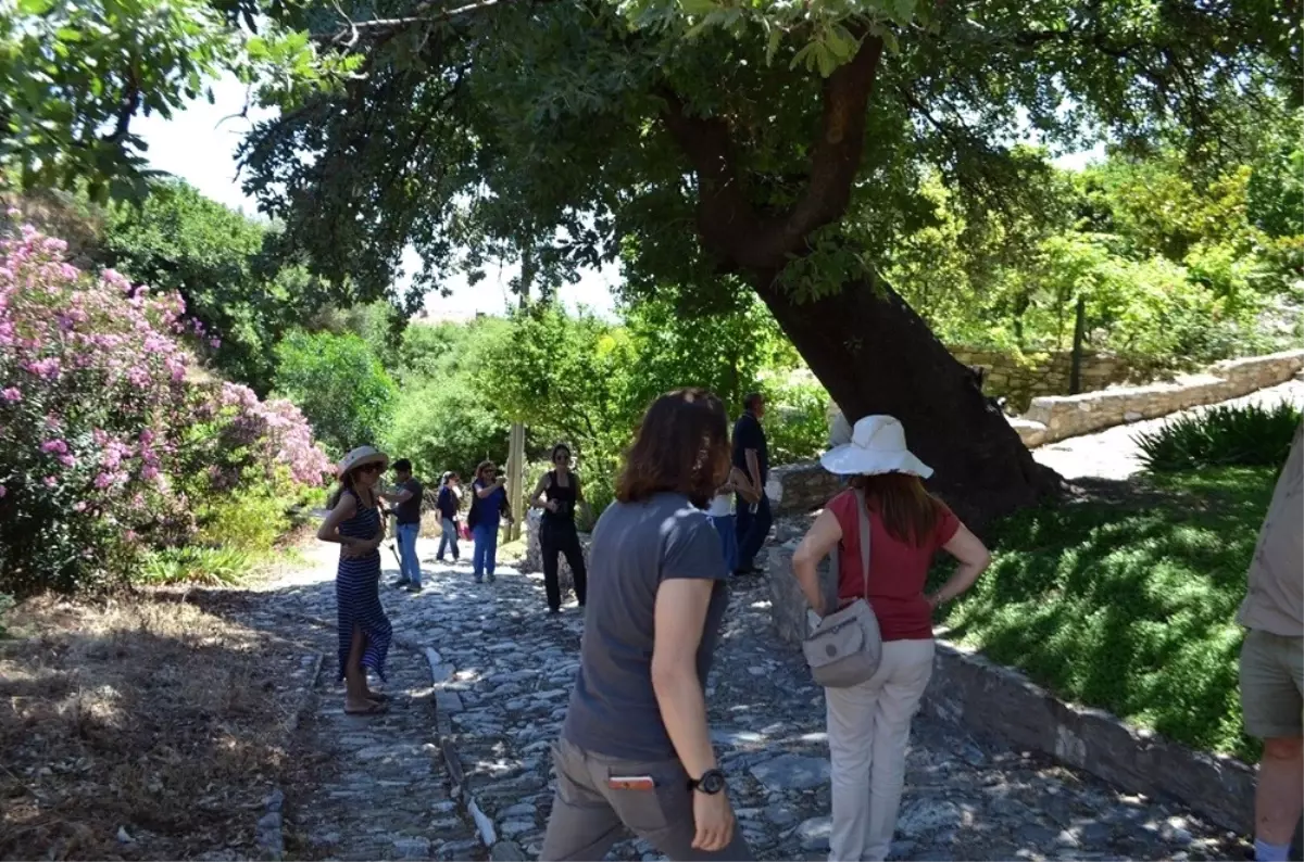 Didim\'de Kutsal Yol Yürüyüşü Yapılacak