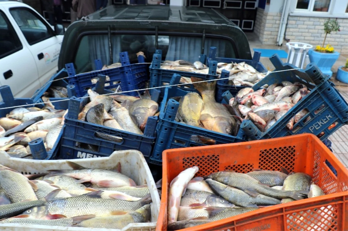 Elazığ\'da Kaçak Avlanan 3,5 Ton Balık Ele Geçirildi