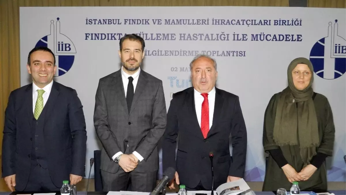 \'Fındıkçının Korkulu Rüyası Külleme Nedeniyle Kayıp 300 Milyon Dolar"