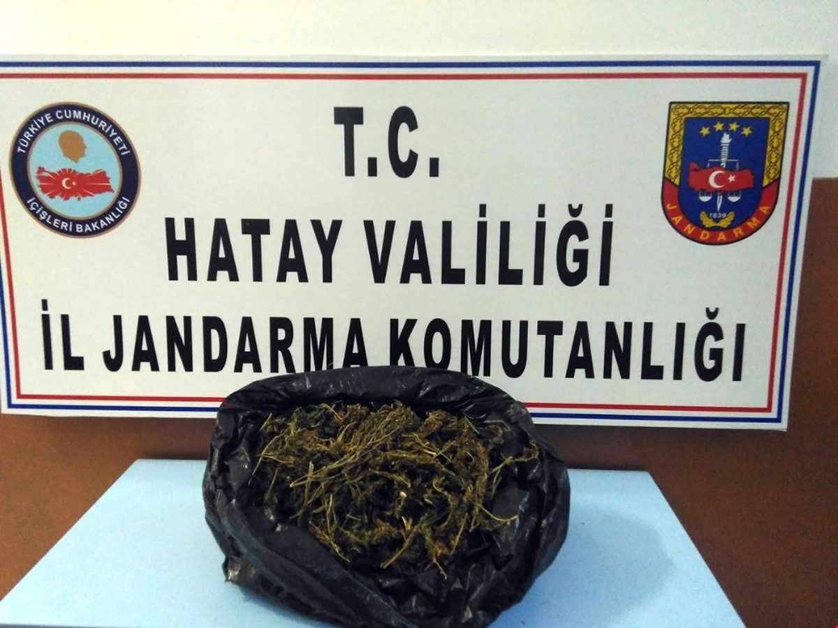 Hatay\'da Kaçakçılık ve Uyuşturucu Operasyonu