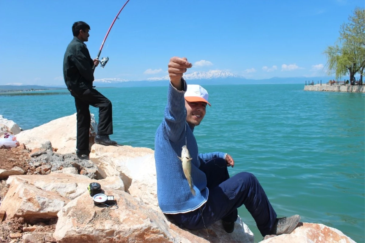 İç Sularda Amatör Olta Balıkçıları Mesai Yapmaya Başladı