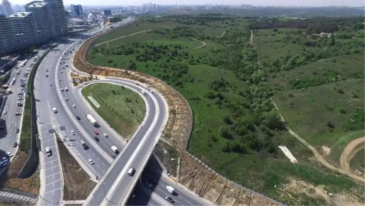 İstanbul\'da Kent İçi ve Tem Yolundaki Fidanlar Büyüdü, Kuzey Marmara Otoyolu Kenarlarındakilerin...