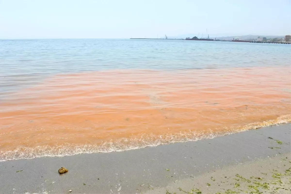 Marmara Denizi Hala Turuncu