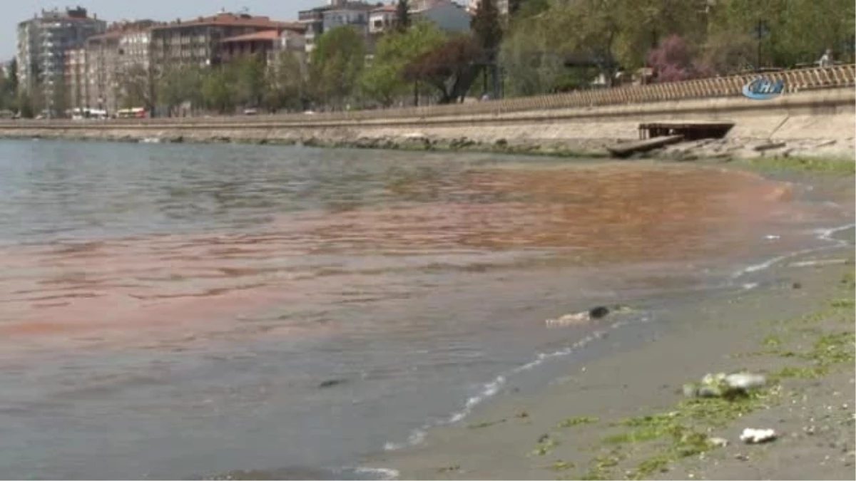 Marmara Denizi\'ndeki Turuncu Renk Etkisini Sürdürüyor