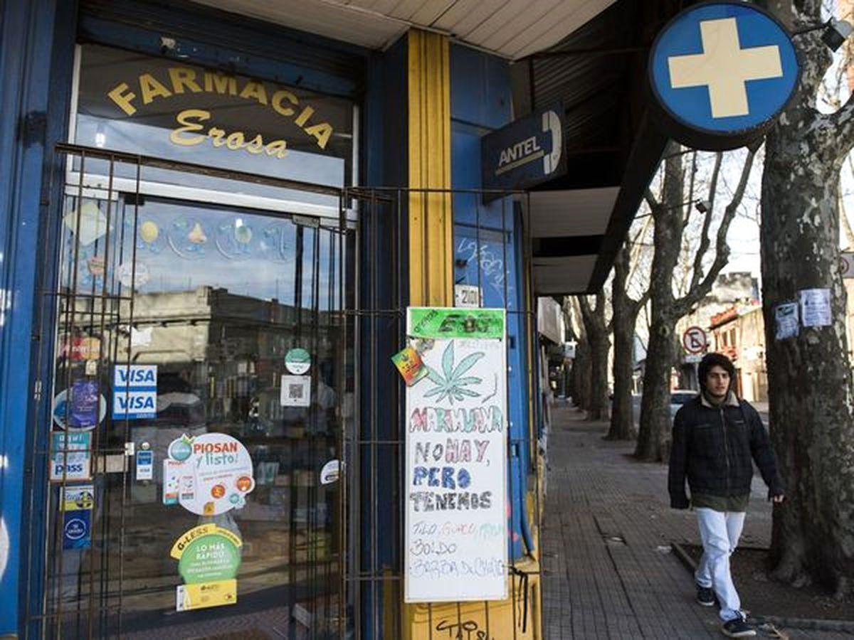 Uruguay\'da Marihuana İçin Kayıt İşlemi Başladı