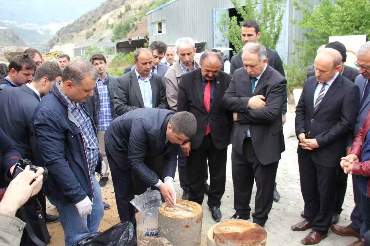 Orman Köylüleri Kayın Mantarı Yetiştiriyor