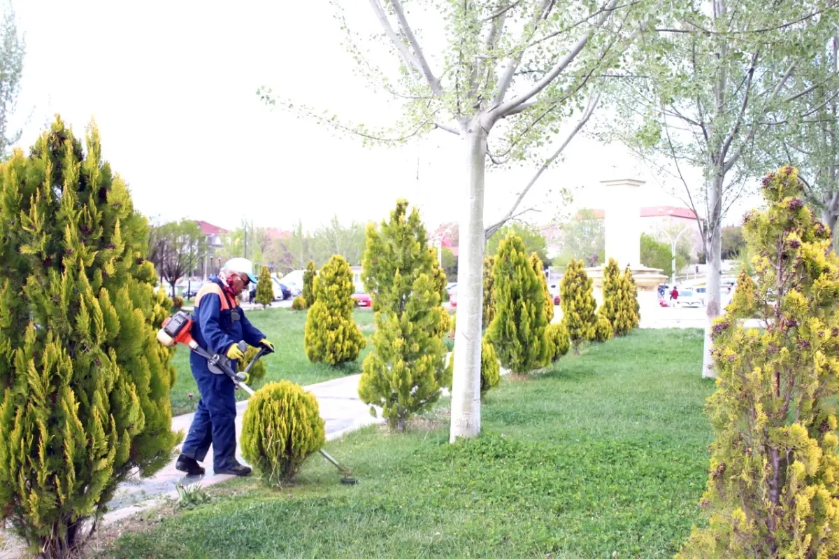 Park ve Bahçeler Müdürlüğü Ekiplerinden Yazlık Bakım