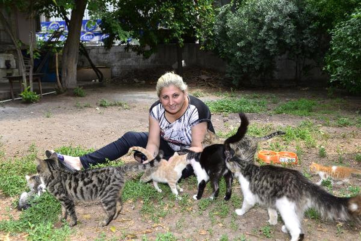 Sokak Kedilerine Baktığı İçin Evinden Tahliye Ediliyor