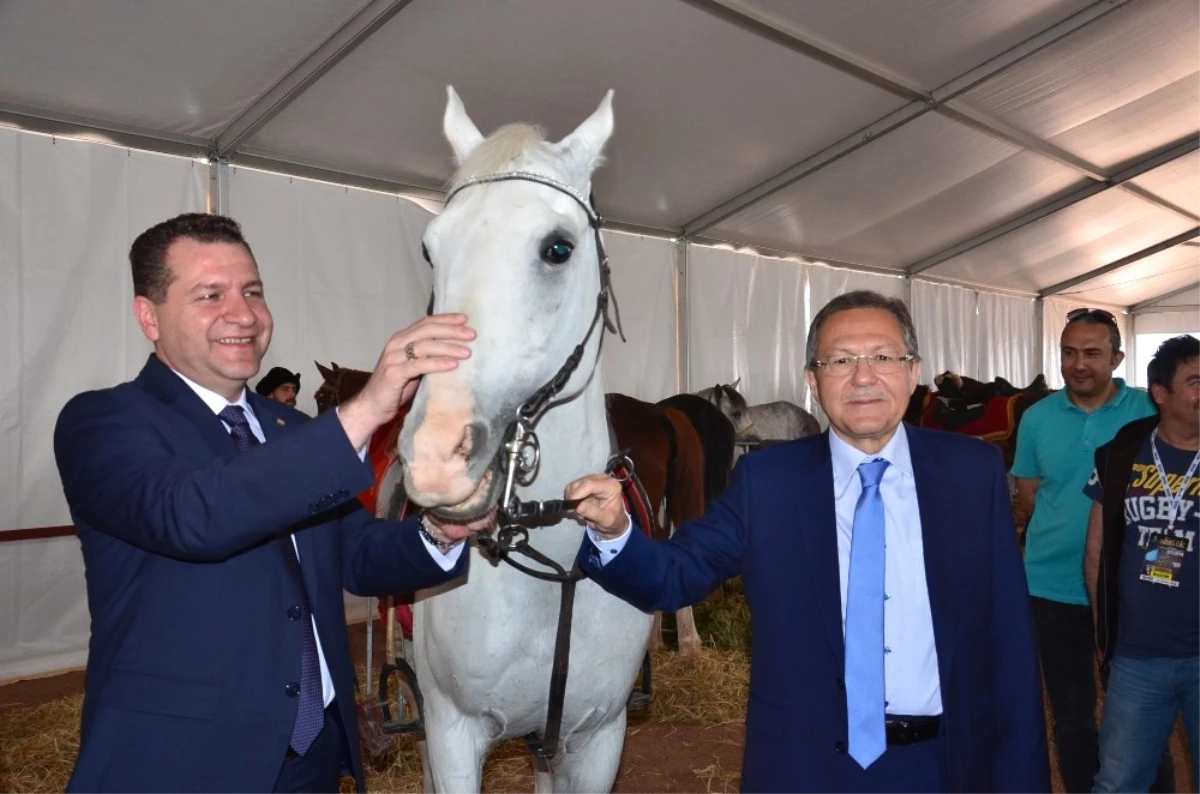 Uluslararası Altın Ok Geleneksel Türk Okçuluğu ve Atlı Savaş Sanatları Festivali Başlıyor