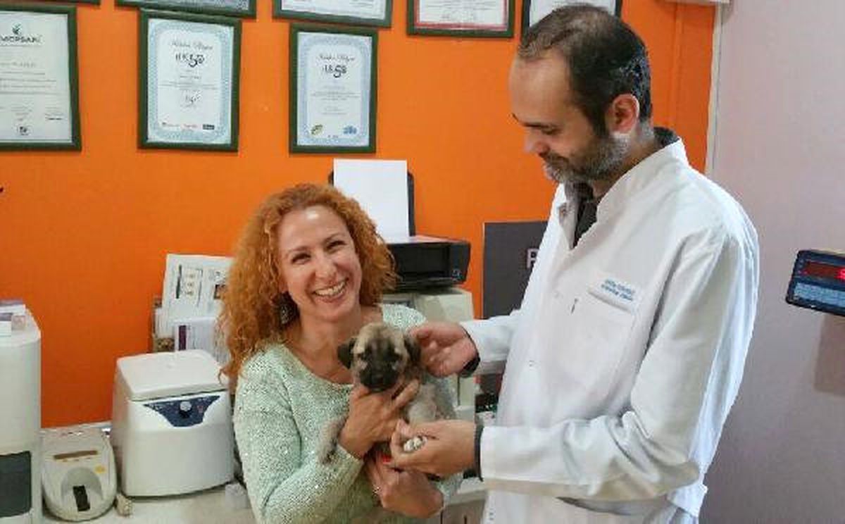 3 Ayaklı \'Garip\', Yeni Yuvasında Mutlu