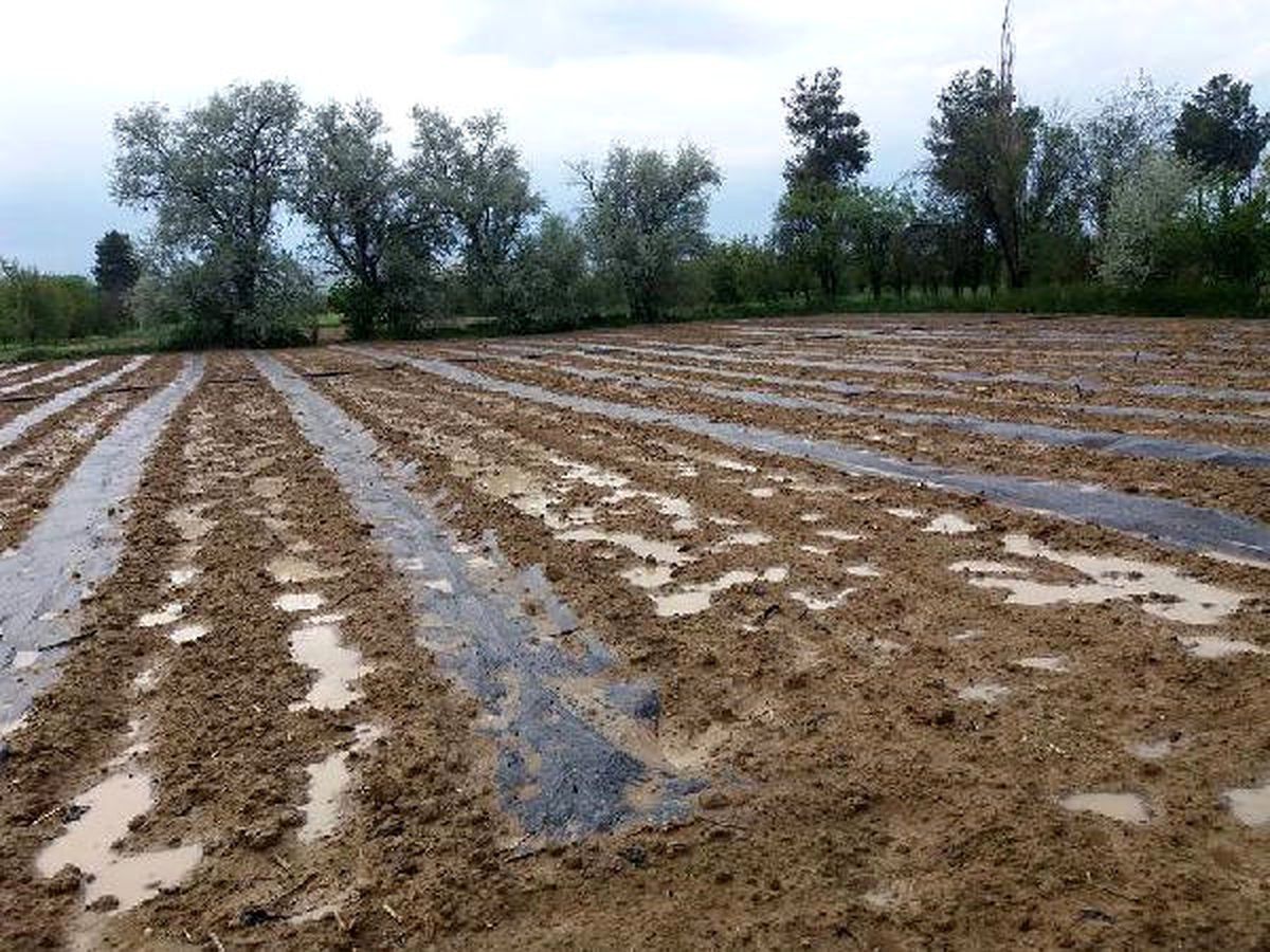 Dolu, Korkuteli\'de Etkili Oldu