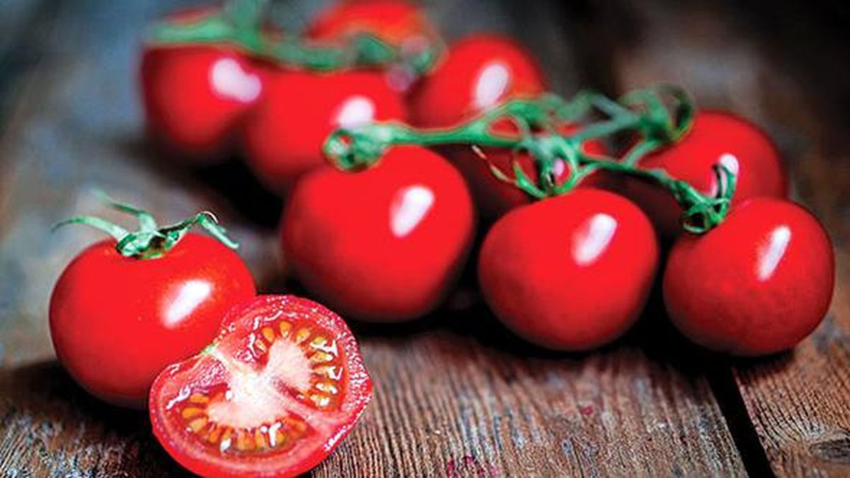 Ekonomide öne çıkan sektörler açıklandı:
