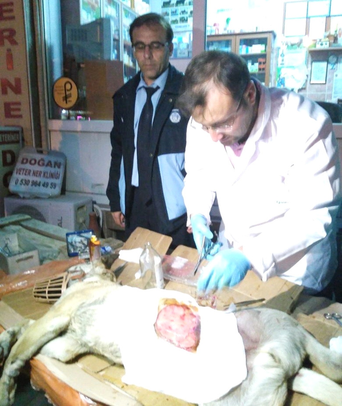 Emet Belediyesi Zabıta Ekipleri Yaralı Köpek İçin Seferber Oldu